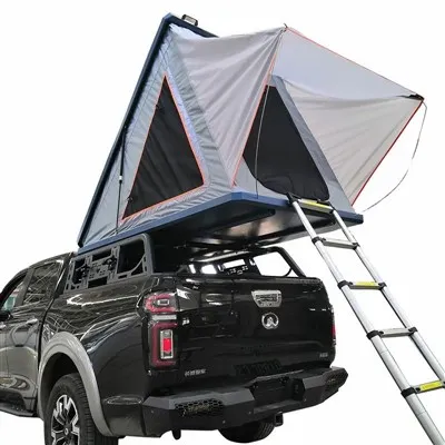 Puball Campála Aonair